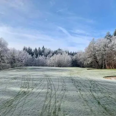 Crows Nest Lejlighed *