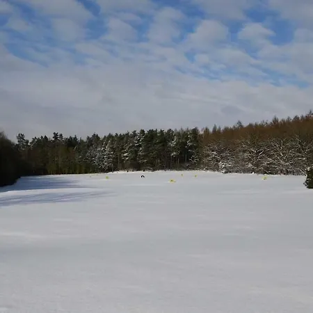 Crows Nest Lejlighed